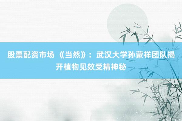 股票配资市场 《当然》：武汉大学孙蒙祥团队揭开植物见效受精神秘