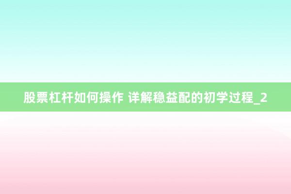股票杠杆如何操作 详解稳益配的初学过程_2